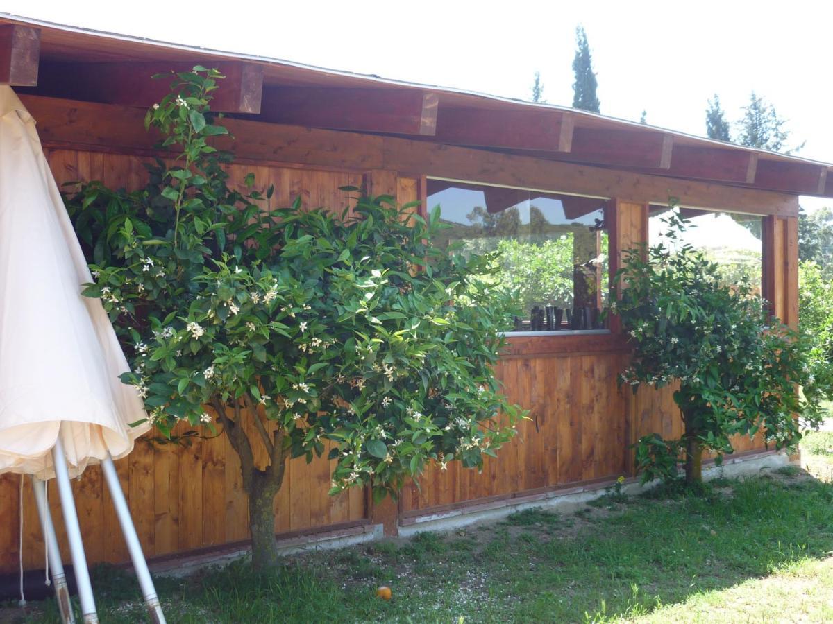 Il Frutteto Bed and Breakfast Torre delle Stelle Εξωτερικό φωτογραφία